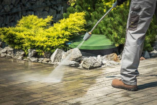 Best Warehouse Cleaning  in Shenandoah, TX