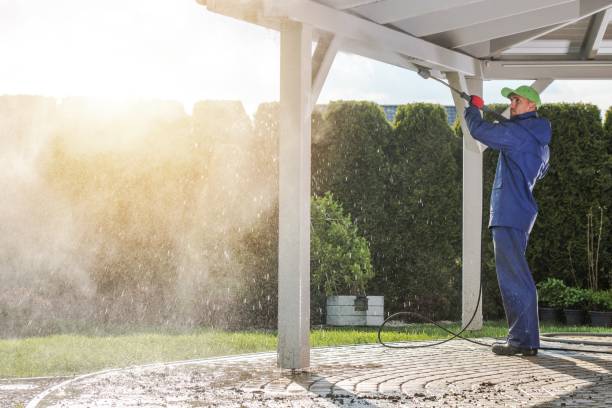 Pre-Holiday Cleaning in Shenandoah, TX